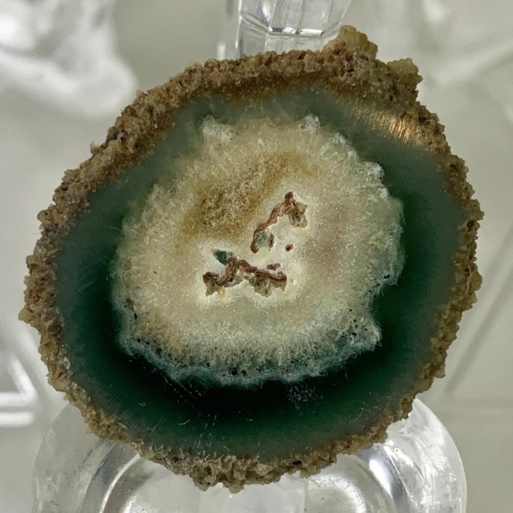 Stalactite Slice Polished Crystal Cave Mineral Rind Las Torres Mine Uruguay 1.2"